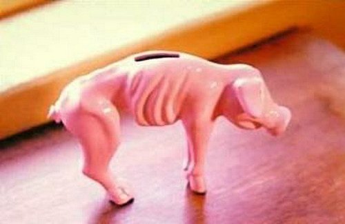 Starving piggy bank